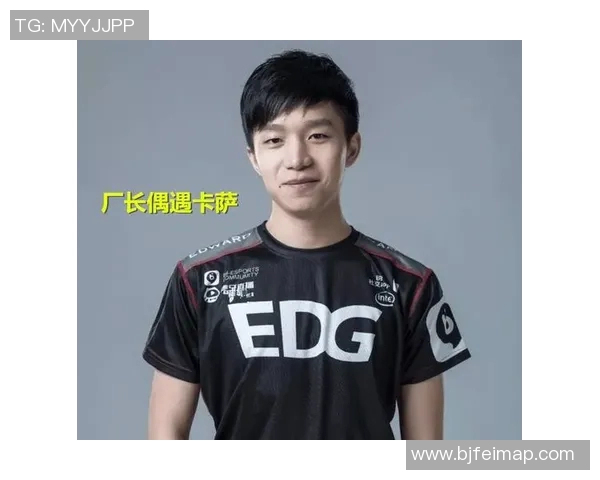 EDG职业联赛表现分析：比赛经验如何影响团队战斗力与策略执行